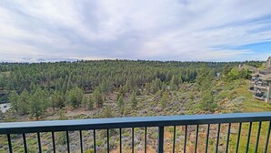 Eine bewaldete Landschaft mit Blick auf ein mehrgeschossiges Gebäude mit Balkonen.