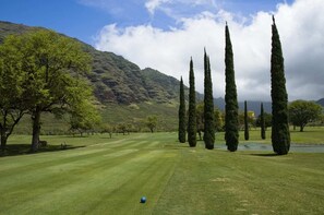 Ein Golfplatz mit blauem Himmel, grünem Rasen und hoch aufragenden Zypressen.