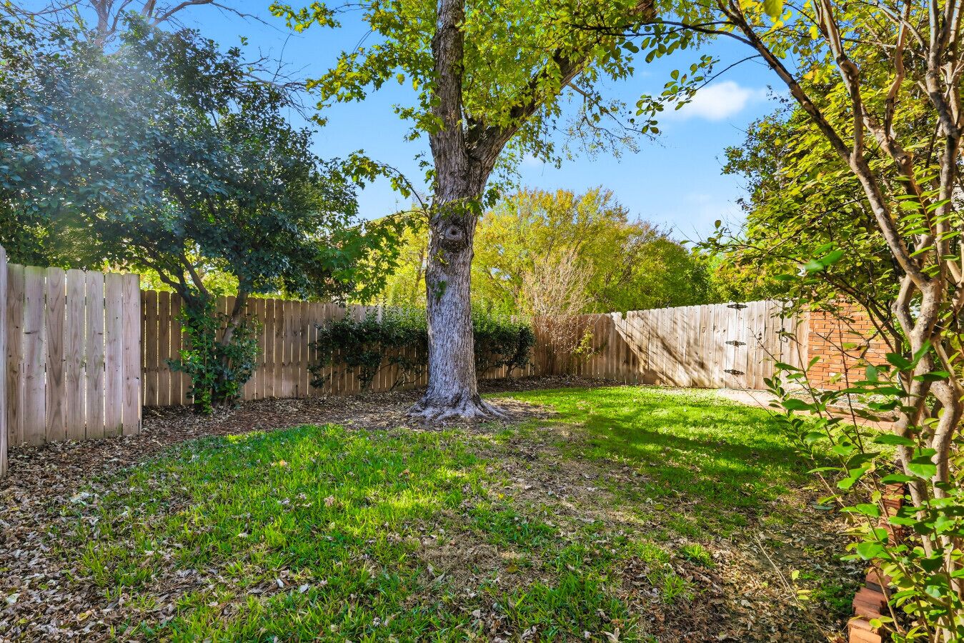 A backyard with a wooden fence, a tree, and a grassy area.