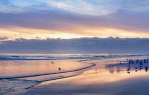 A beach scene with waves, a sandy shore, and birds. - Pirates Cove 327 - Salt Air Cove (Daytona Beach Shores)