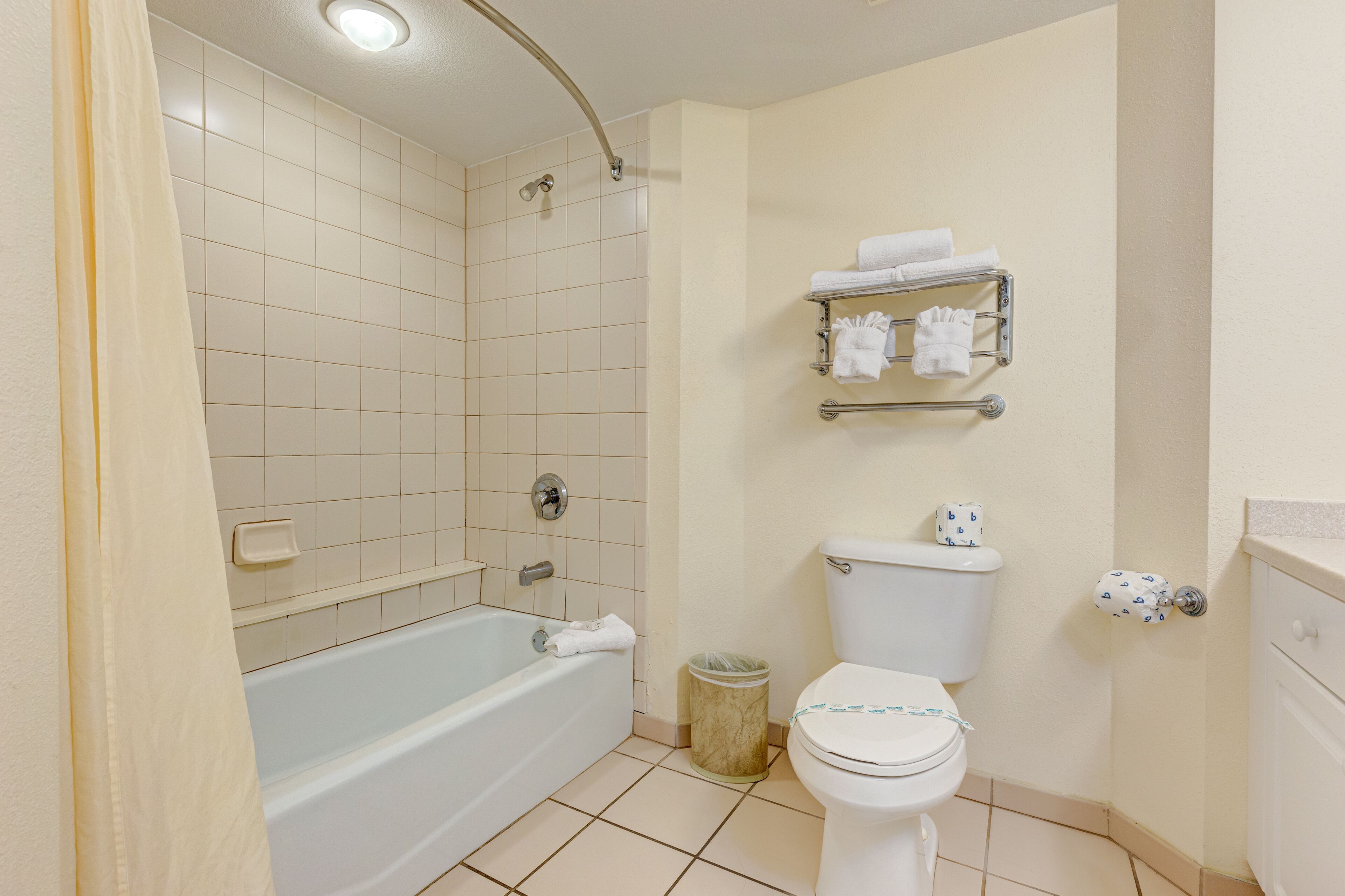 Ein Badezimmer mit Badewanne, Toilette und einem Handtuchregal.