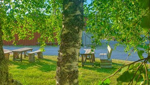 A picnic area with wooden benches and a tree in the center.