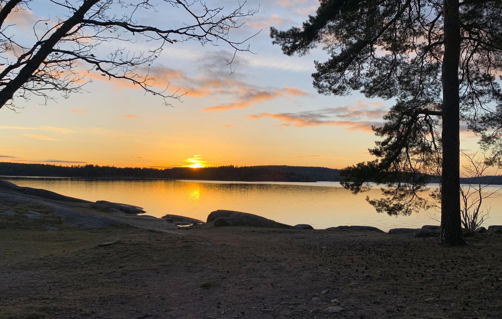 Un paisaje natural con un lago, árboles y una puesta de sol.