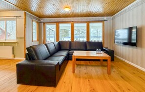 تلفزيون ذكي، مدفأة