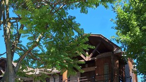 A rustic wooden building with a balcony, outdoor seating, and a paved patio area. - Holiday home near the water with air conditioning and Wi-Fi (Zamárdi)