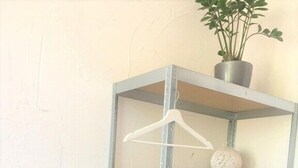 A metal shelving unit with three shelves, a hanging plant, and a decorative ball. - Clean and well-kept room 5min from centraal station (Amsterdam)