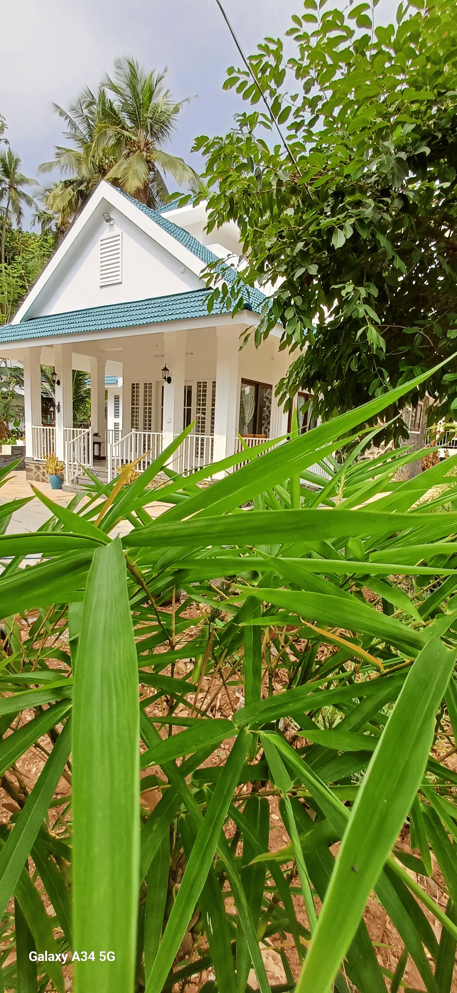 A white house with a blue roof, surrounded by greenery and palm trees.