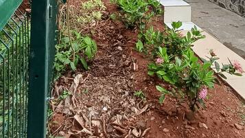 Área da propriedade