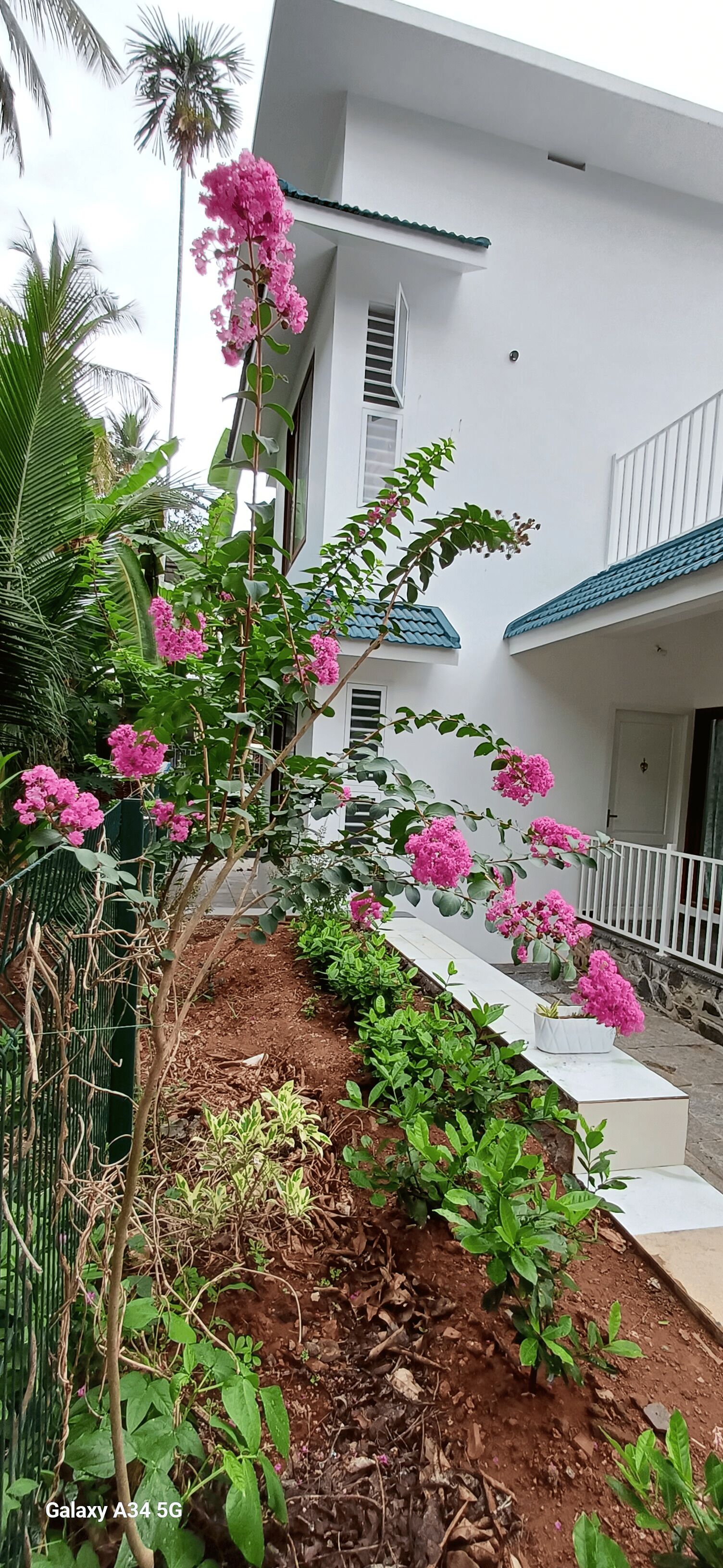 Jardines del alojamiento