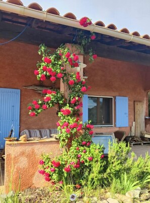 Property grounds - Soleil Bleu (Rognes)