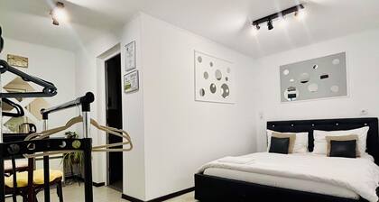 Sibiu-bedroom apartment in old center perfect to stay