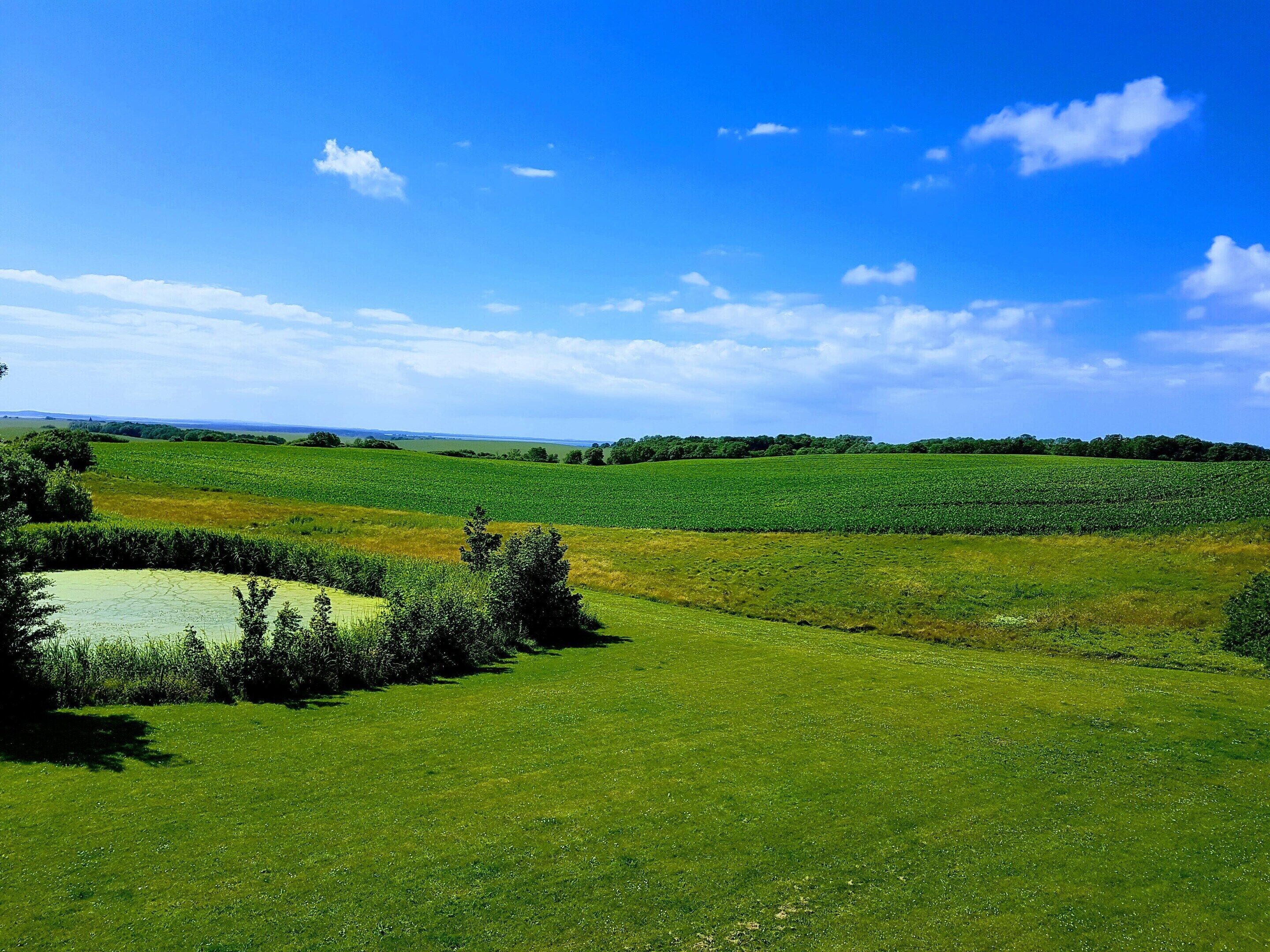 A vast green field with a small pond and trees in the foreground.