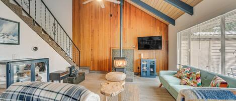 TV, fireplace, books, stereo