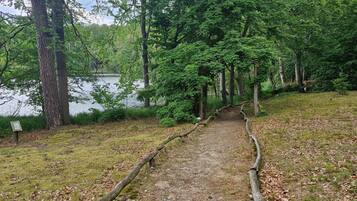 A forested area with a dirt path leading to a body of water.