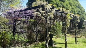 A garden with a pergola covered in purple flowers, surrounded by lush greenery and a stone wall. - Brecon Cottage | Serene 3BR Blue Mountains Escape (Leura)