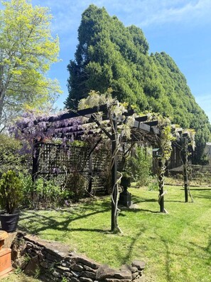 Property grounds - Brecon Cottage | Serene 3BR Blue Mountains Escape (Leura)