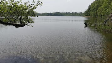 Um lago calmo com árvores nas margens.