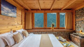 Iron/ironing board, free WiFi