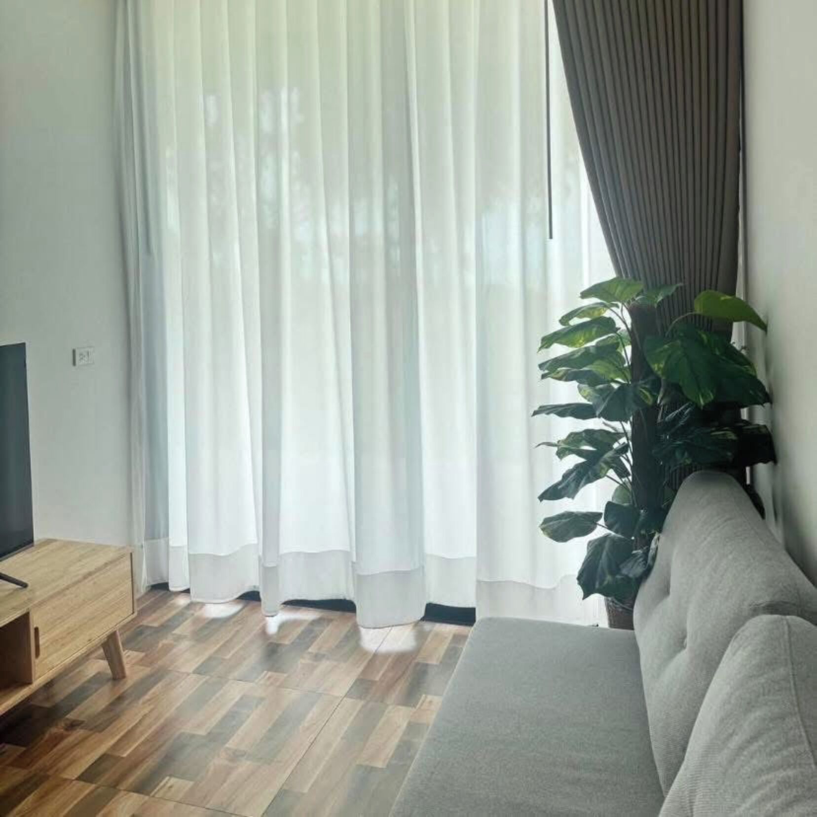 Una sala de estar con sofá, televisión sobre un mueble de madera, una planta grande y cortinas traslúcidas.