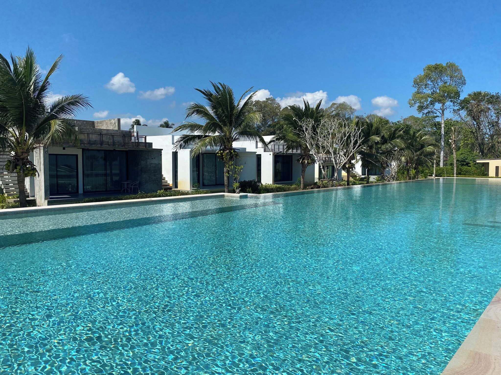 A clear blue swimming pool with modern buildings and palm trees in the background.