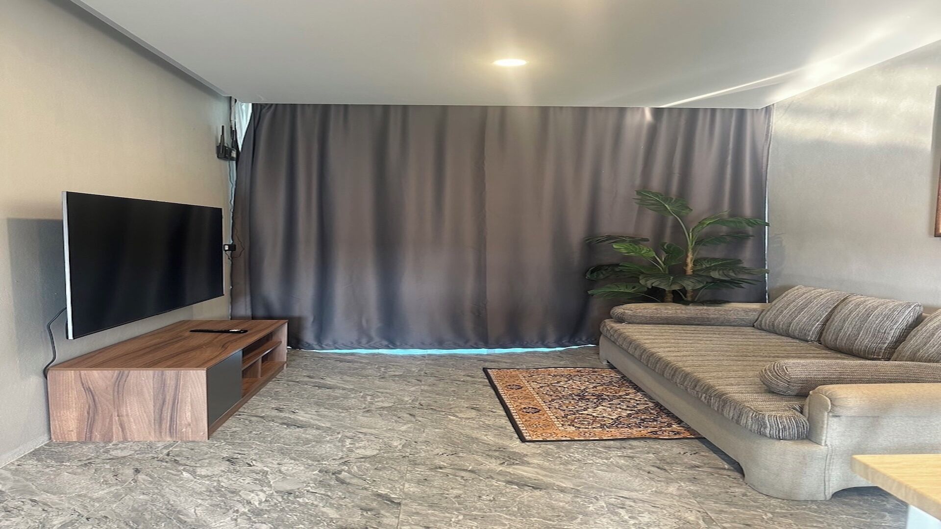 A living room with a flat-screen TV, a sofa, a coffee table, a plant, and a patterned rug.