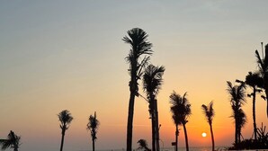 Vista do pôr do sol sobre uma piscina calma, com palmeiras e horizonte claro.