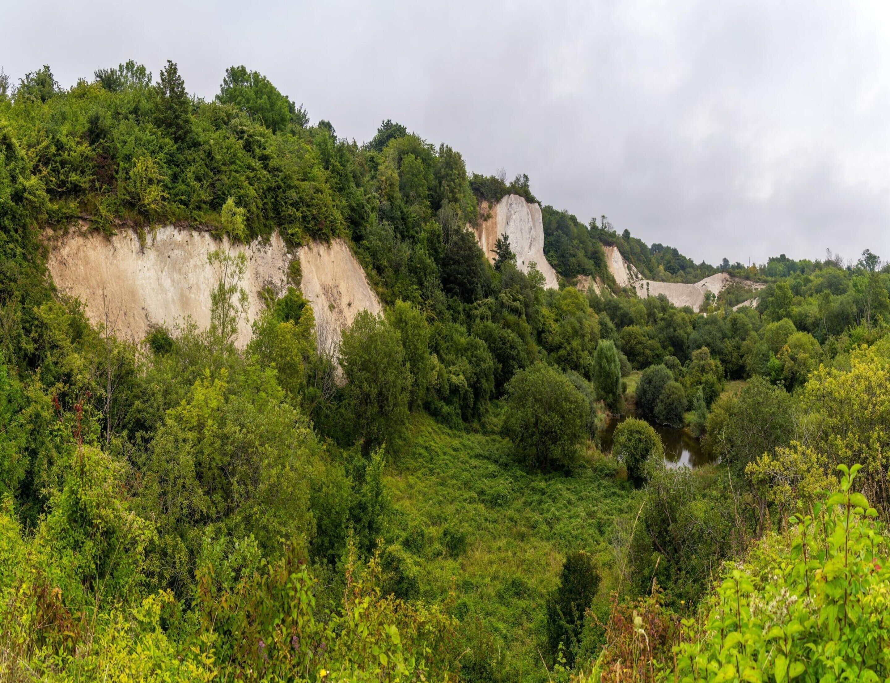 A natural landscape with cliffs and dense greenery.