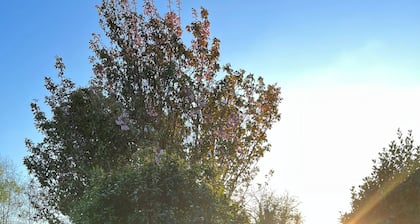 Small studio with 1 double bed en-suite