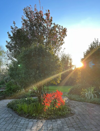 Small studio with 1 double bed en-suite