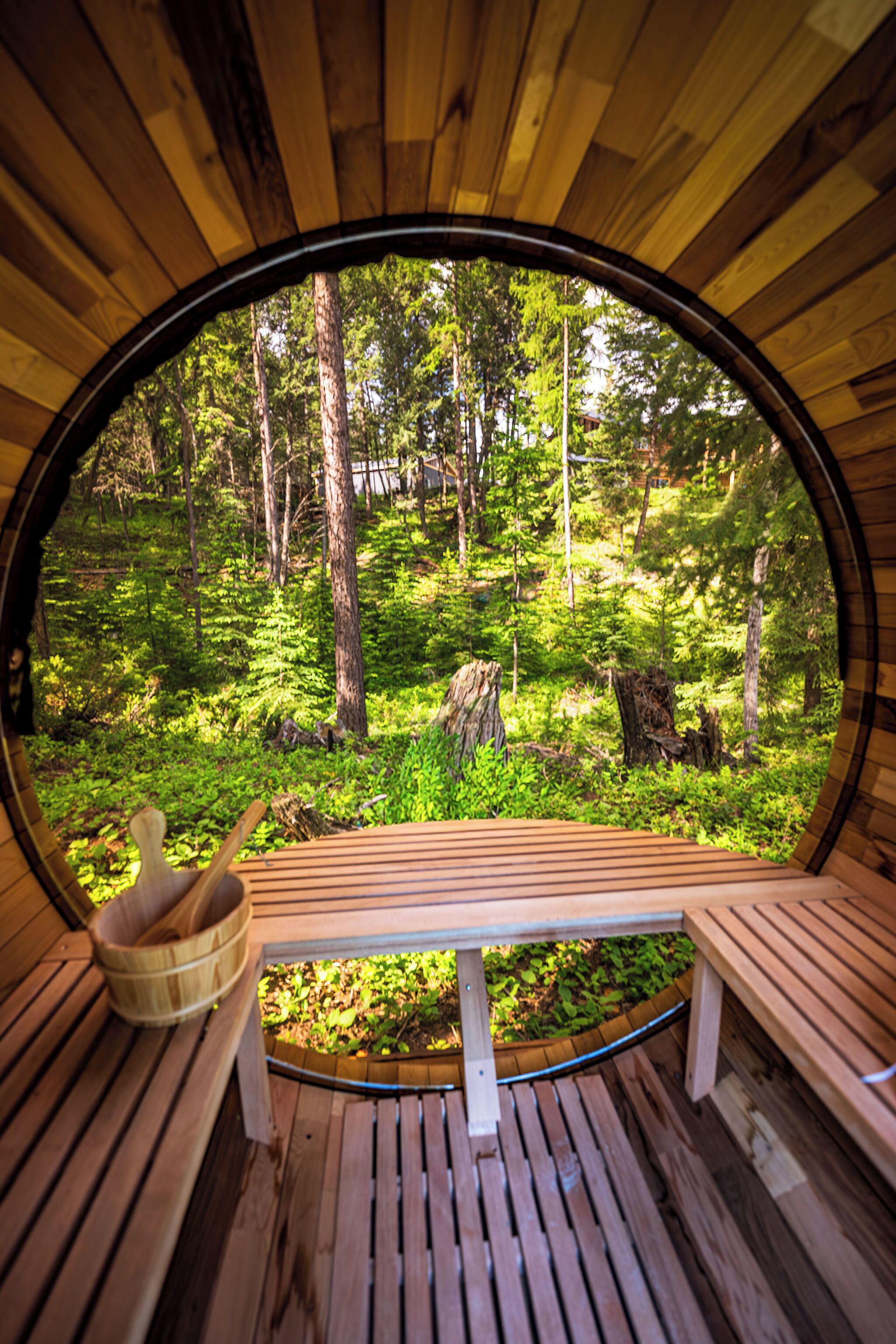 Une structure circulaire en bois, dotée de bancs et offrant une vue sur une forêt.