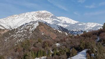 Villa, 2 Bedrooms, Mountain View | View from room