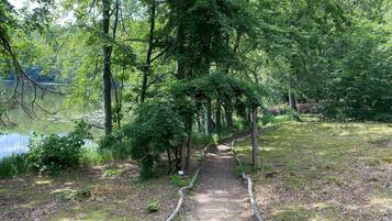 A forested path leading to a body of water, surrounded by trees and greenery.
