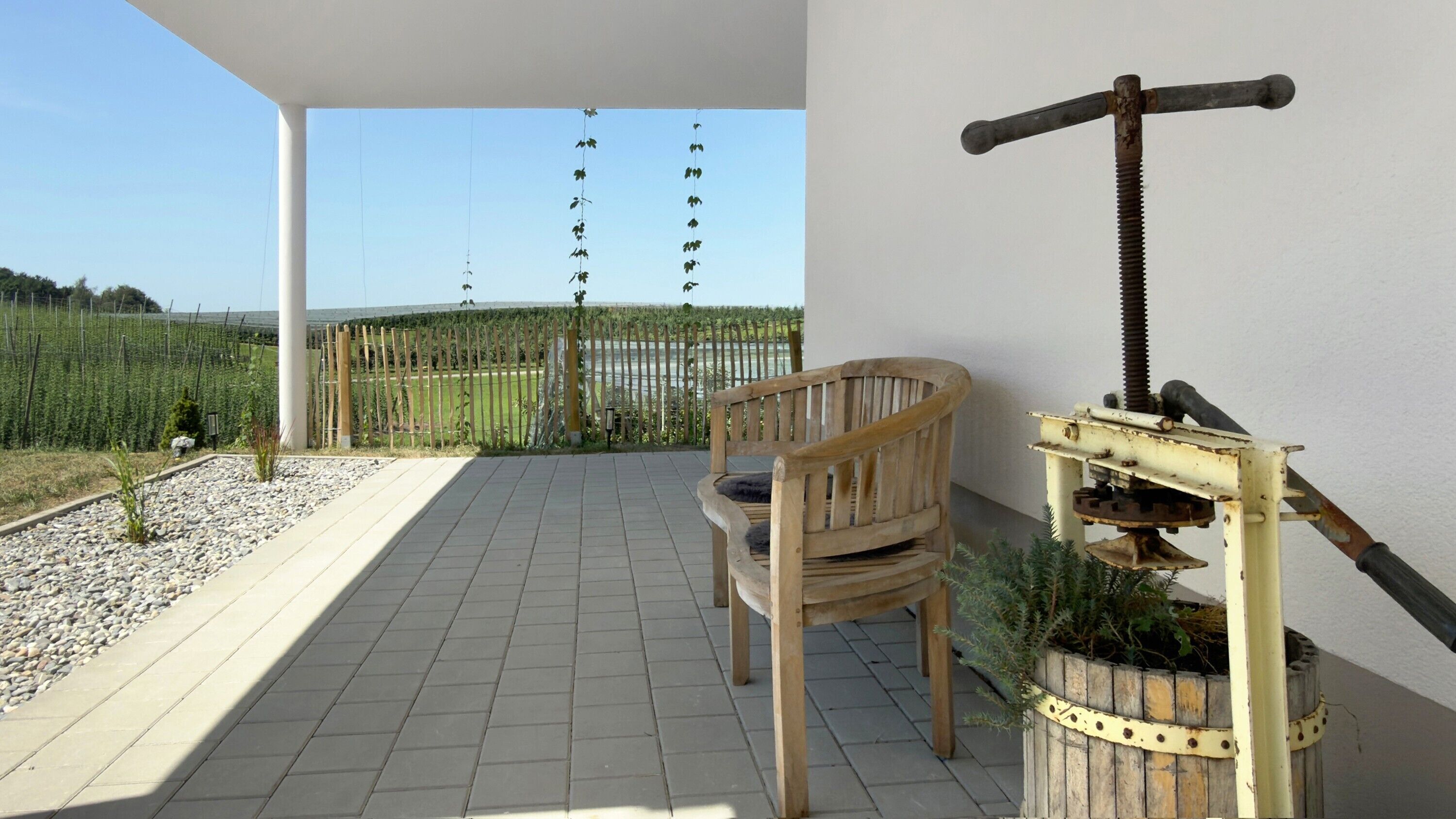 Terrasse/Patio