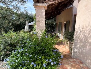 Terrein van de accommodatie