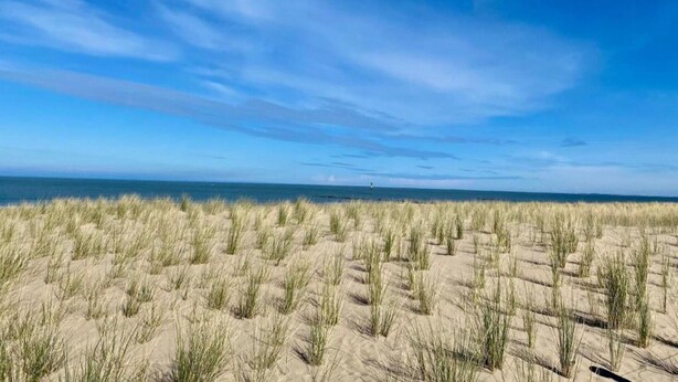 A beach with sand dunes and a clear sky. - 3-Bedroom Sunny Apartment in Knokke (KNOKKE-HEIST)