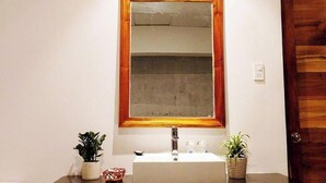 Ein Badezimmer mit einem spiegelnden Holzelement, einem weißen Waschbecken und zwei Blumentöpfen.