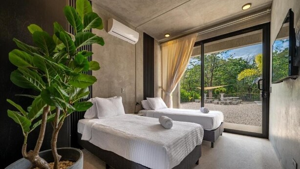 A modern bedroom with two beds, a large potted plant, and a view of the outdoors. - HOTEL NELBLU #4 - DOUBLE BEDS (Playa Flamingo)