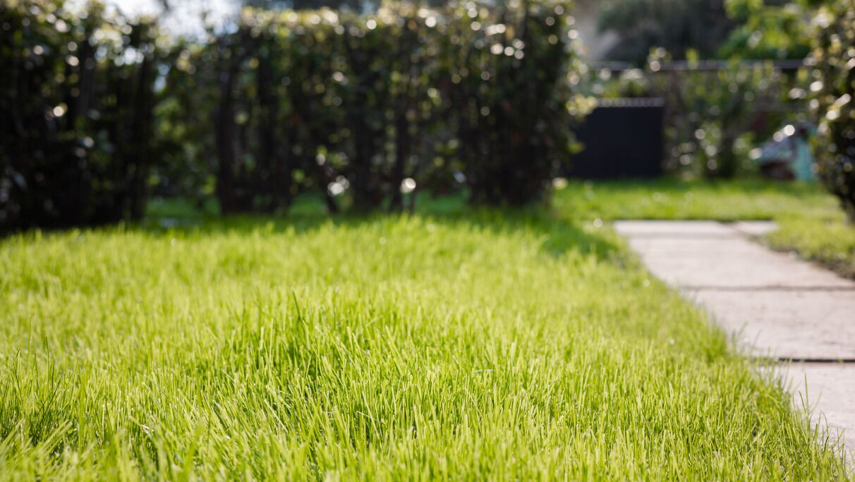 公寓, 湖景 | 住宿一隅