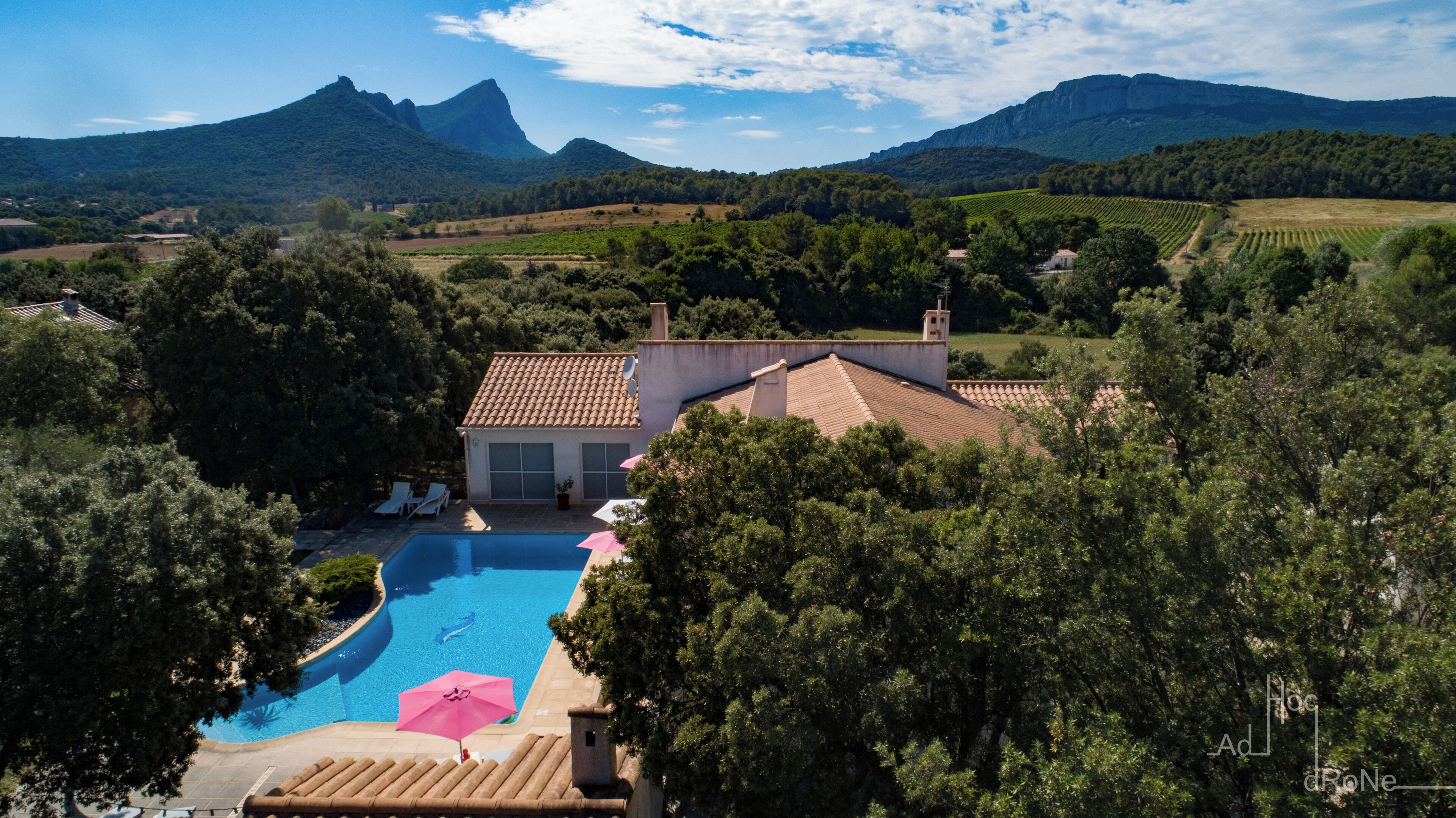 A villa with a swimming pool, surrounded by lush greenery and mountains in the background.