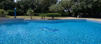 Gîte au Pic Saint-Loup with swimming pool - Peace and nature 20 min from Montpellier