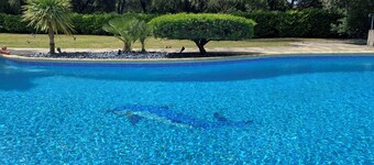 Gîte with swimming pool in Pic Saint-Loup - Quiet, view, nature near Montpellier