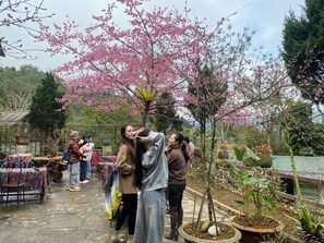 Outdoor dining - Vanhaus (Sa Pa)