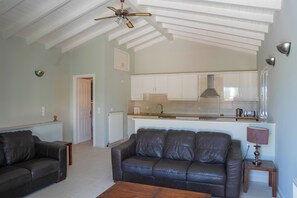 Smart TV y chimenea 