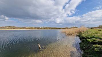 A calm lake with clear water, surrounded by grassy banks and a few buildings in the distance.