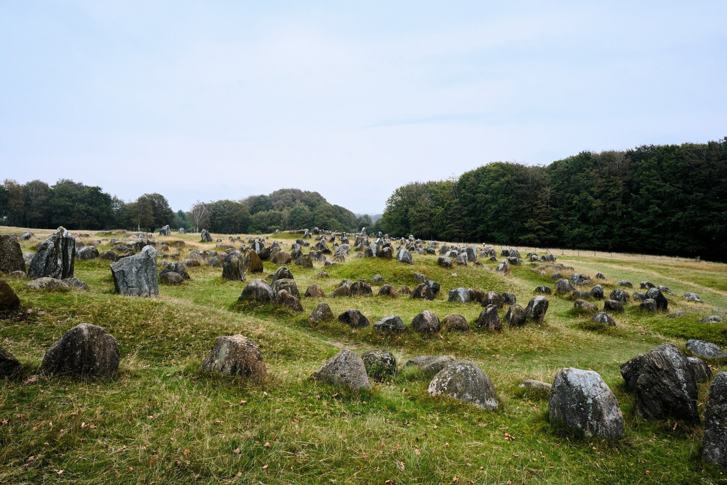 A field of standing stones in a grassy area with trees in the background.
