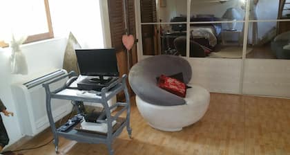 Cabanon provençal : les lezards