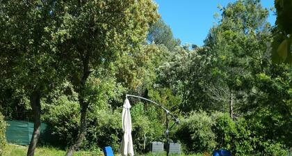 Cabanon provençal : les lezards