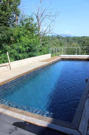 Pool - Magnificent T2 private pool. (Castellare Di Casinca)
