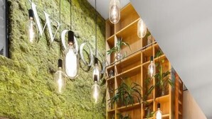 Una recepción con pared verde, estantes de madera y luces colgantes.