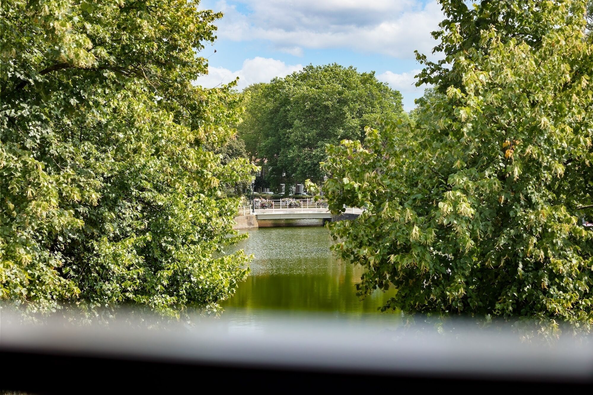 A serene riverside view with lush greenery and a bridge in the distance.